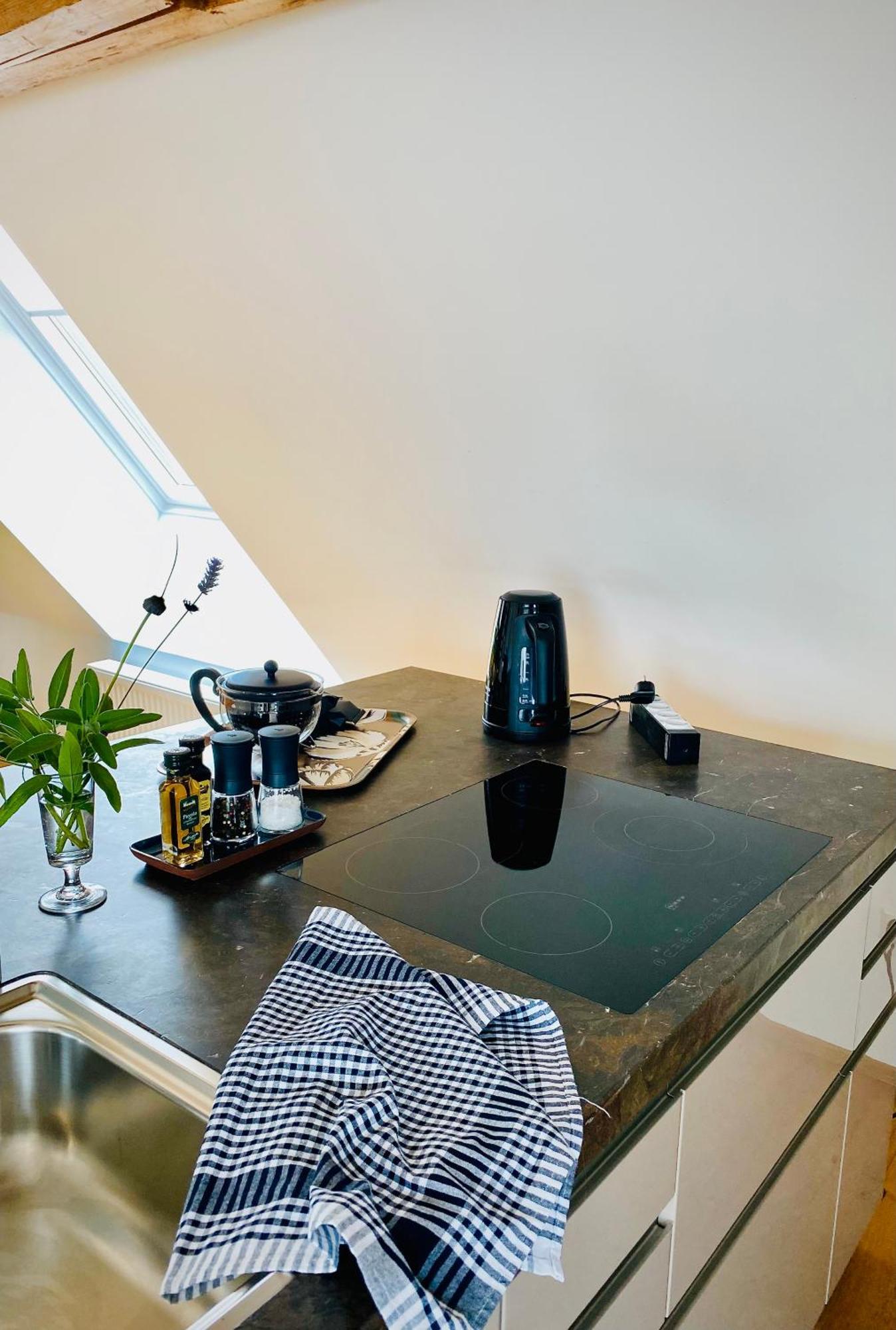 Apartment Am Schlosshof Besigheim Dış mekan fotoğraf