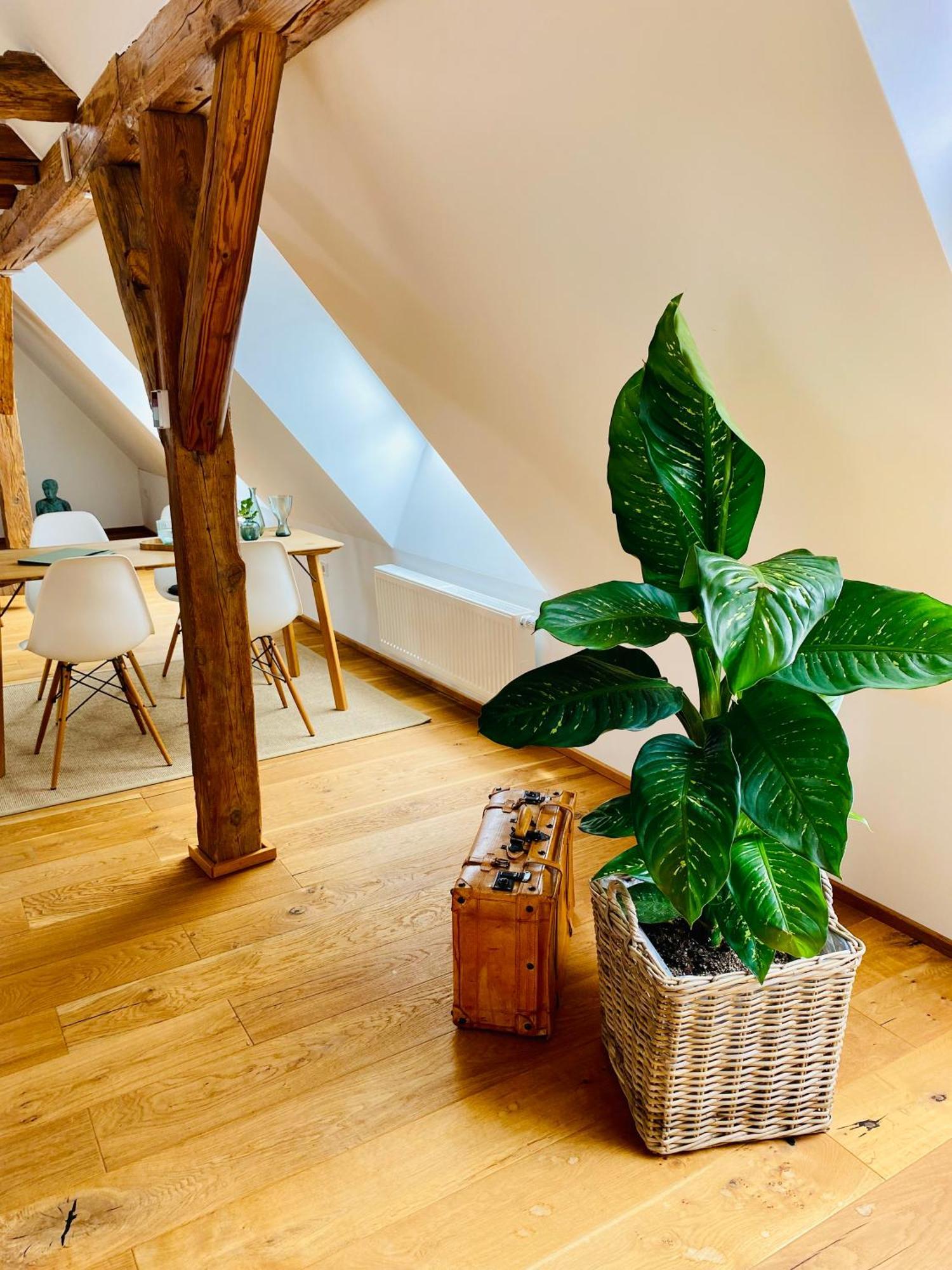 Apartment Am Schlosshof Besigheim Dış mekan fotoğraf