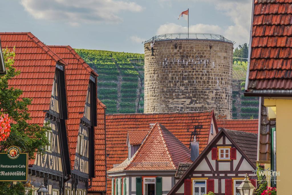 Apartment Am Schlosshof Besigheim Dış mekan fotoğraf