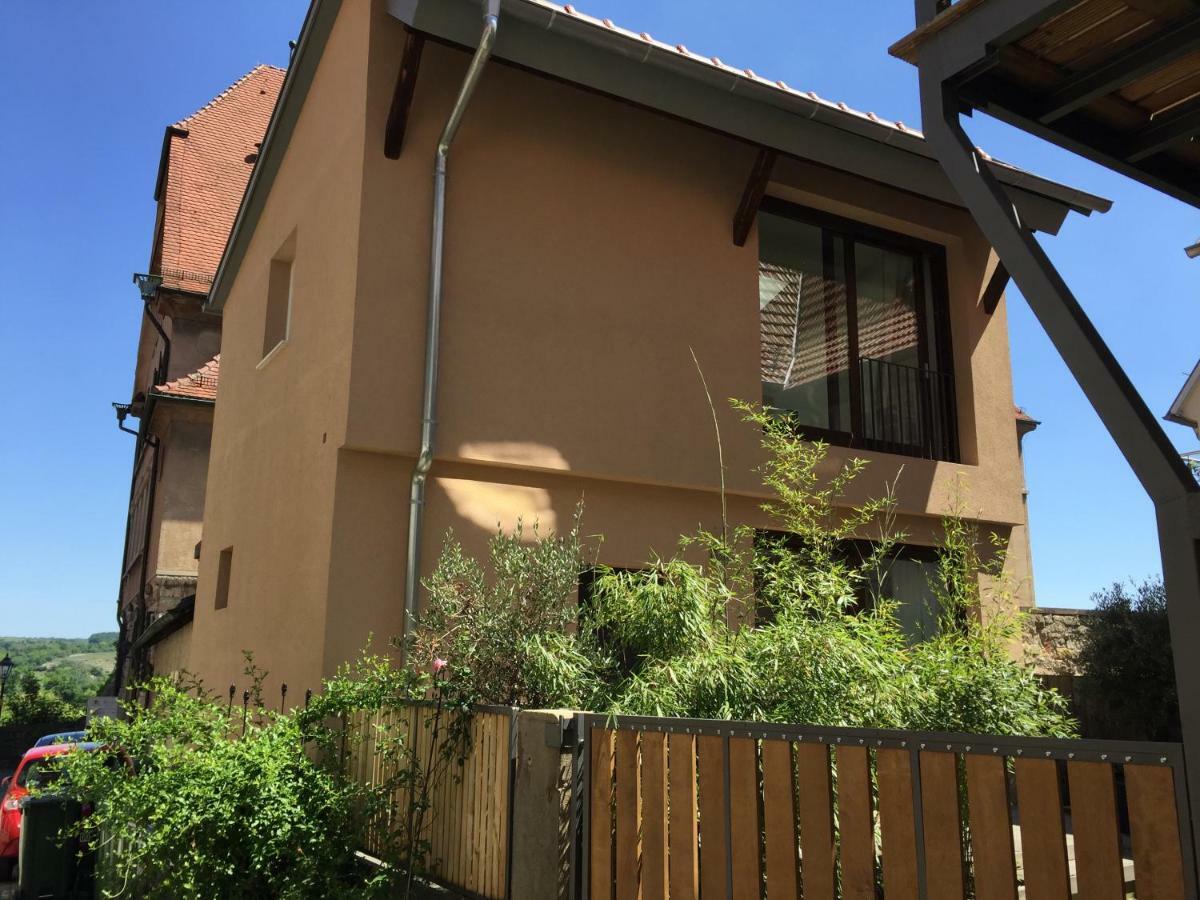 Apartment Am Schlosshof Besigheim Dış mekan fotoğraf